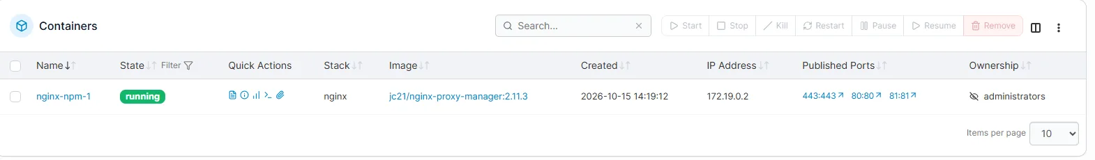 Portainer: kontener nginx-npm-1 w stanie running z opublikowanymi portami 80, 443 i 81