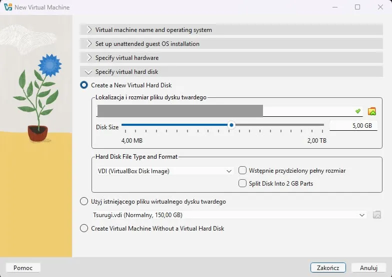 Virtual disk settings with a mistyped size of 5 GB