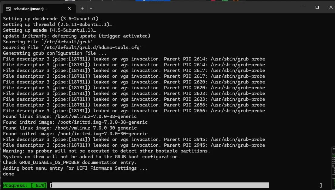 Terminal during apt upgrade, progress bar at 81 percent